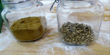 芬蘭食品公司推出世界首款蟋蟀粉面包，開創可持續食品新紀元
